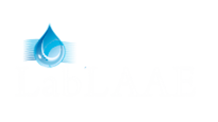 LabLAAE